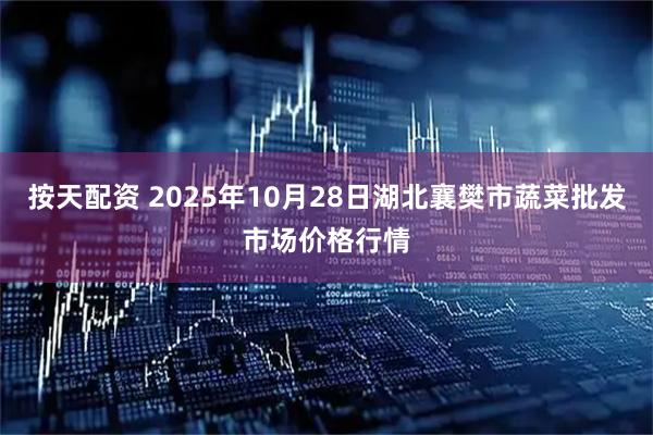 按天配资 2025年10月28日湖北襄樊市蔬菜批发市场价格行情