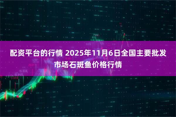 配资平台的行情 2025年11月6日全国主要批发市场石斑鱼价格行情